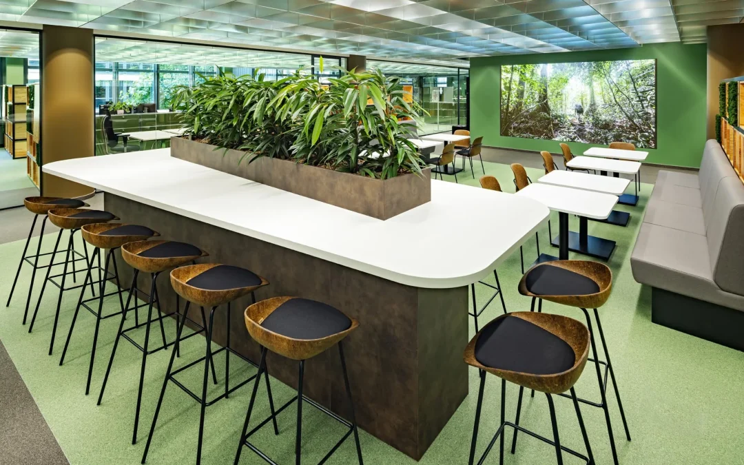 New Office – 11880 – Jungle